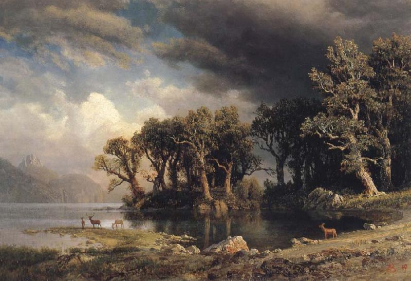 Albert Bierstadt The Coming Storm oil painting image